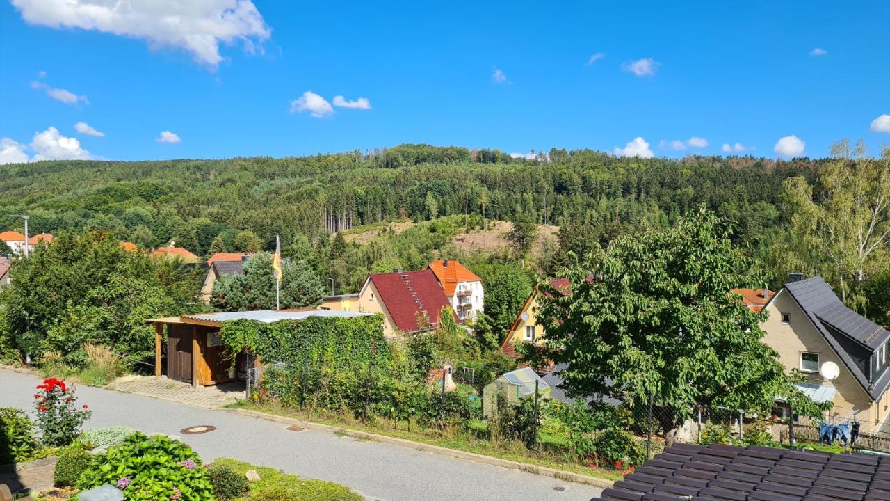 Ferienhaus Marx Sebnitz Bagian luar foto