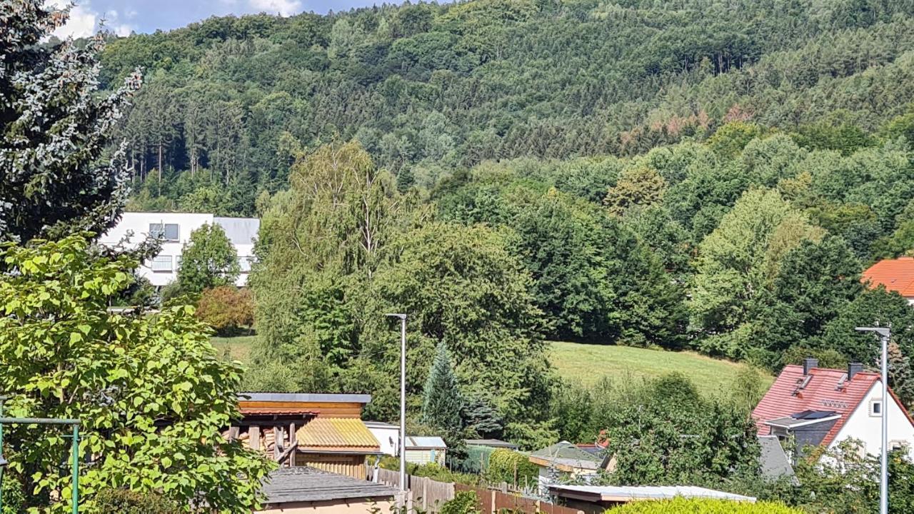 Ferienhaus Marx Sebnitz Bagian luar foto