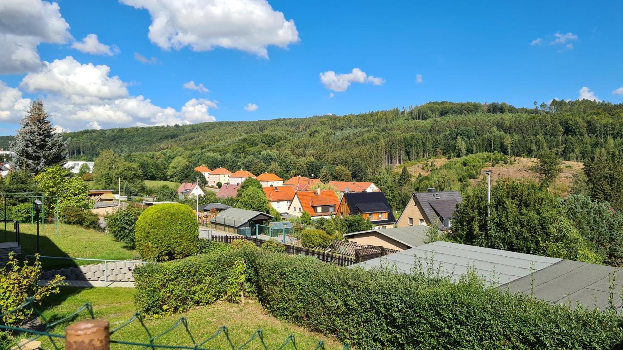 Ferienhaus Marx Sebnitz Bagian luar foto